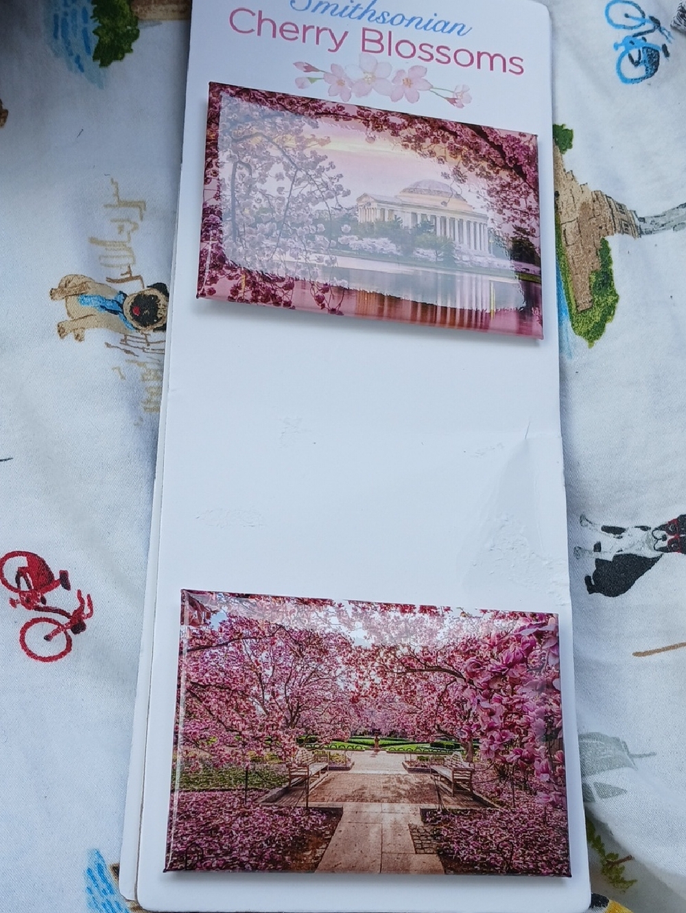 Smithsonian Cherry Blossoms Decorative Magnet Set - Pink Floral